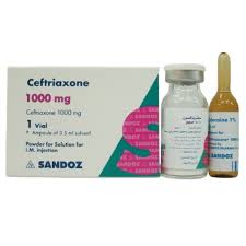 CEFTRIAXONE 1GM IM 1VIAL