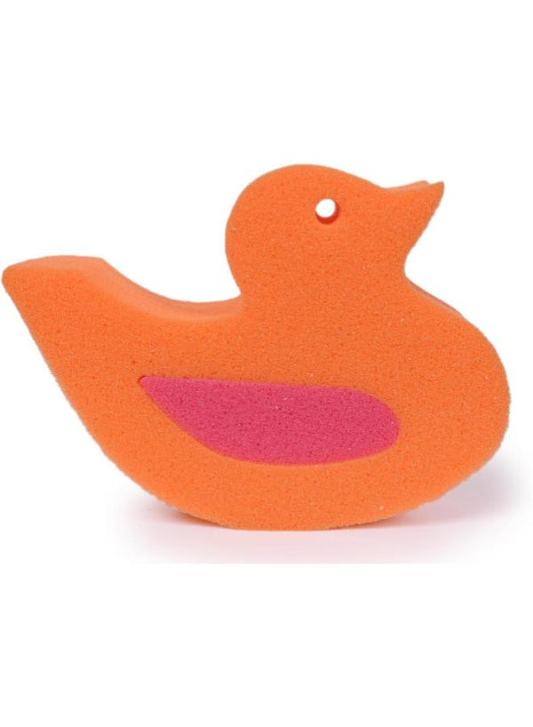 بابلز اسفنجه صغيره