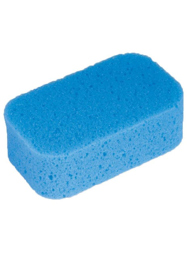 كانبول سفنجه