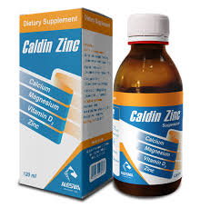 Caldin Zinc 120 Syp