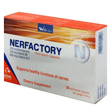 NERFACTORY 30CAP س.ق